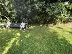 Bin Tong Park (D10), Detached #627490871